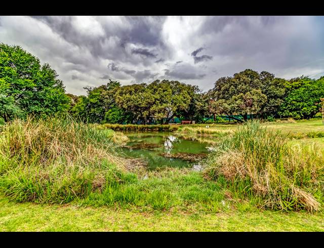 4 BEDROOM HOUSE FOR SALE IN HELDERFONTEIN ESTATE